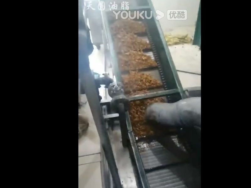 50噸寵物飼料生產(chǎn)線(xiàn)
